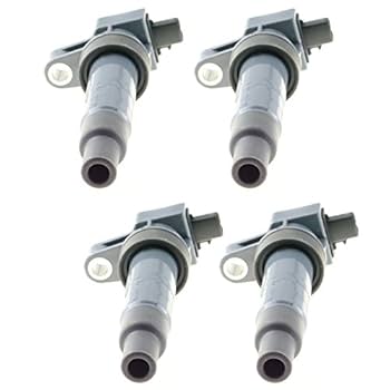 (՞っ ̫ _՞)ᐝ Z SUPPLY COCKTAILS SWEATER | PURPLE LEOPARD BOUTIQUE